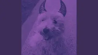 Urbane Music for Sleeping Hound Time