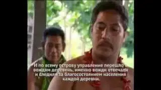 История о фрукте НОНИ