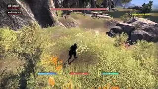 ESO: Enchanter survey II Craglorn