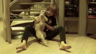 your a jerk dog