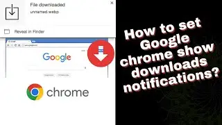 How to set google chrome show downloads notifications 