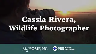Wildlife Photographer Cassia Rivera takes us on location to photograph black bears
