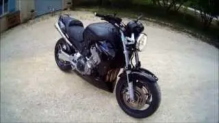 Honda 919 / 900 Hornet