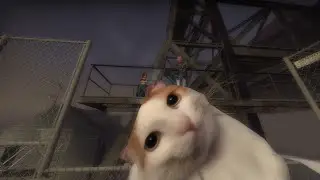 chipi chipi chapa chapa