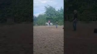 Respect #shorts Жизнь подростка в Польше #horse