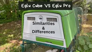 Eglu Cube VS Eglu Pro: Similarities and Differences