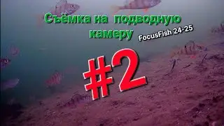 Съёмка на подводную камеру #2