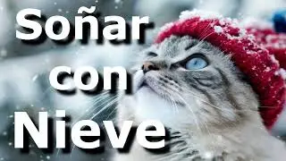 Nieve - Soñar con nieve, nevar, nevando, limpiar la nieve #significado #sueño