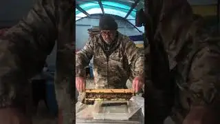 выводим маток без отбора матки Воронежская область 12,04