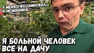Я больной человек. Продолжаем благоустройство дачи, закупил полную машину. Влог на дачу