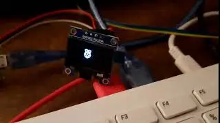 Raspberry Pi Pico Micropython animation