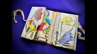 Whimsical Birds Little Altered Book - Episode 3