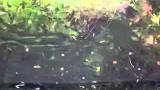 Фура вылезла на встречку