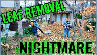 Start to Finish Large Leaf Clean up / Complained clean up cost more than house payment.. I said OK