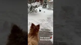 14 декабря 2022 г.
