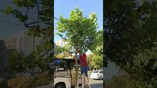 15 июня 2024 г.