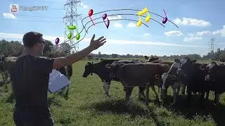 The Return of The Burping Cow Whisperer