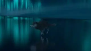 Wolf trot and run cycles (Blender 3D)