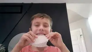 Eating plastic so turtles don't have to