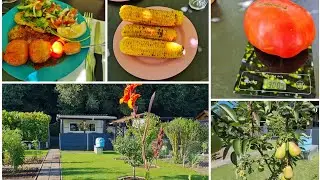 Vlog 🇩🇪 Наша дача в Германии/Отдыхаем ☀️😎/Самые Большые Томаты🍅 Отвечаю на вопросы
