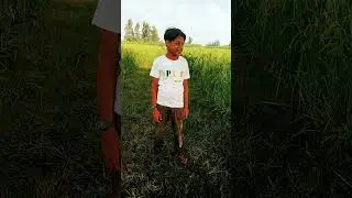is Dil ma #trending #video #viral #funny #comedy #shorts #mr Indian hacker #masti video king 420