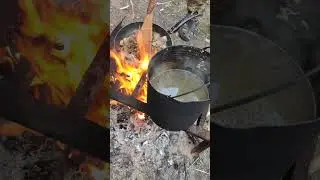 уха и жаренные грибы на костре 👍 #душакарелии #природа #fishing #рыбалка