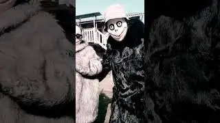 Мы идеальная пара #андрейродионов #момо #яжотец #momo #идеальнаяпара #мыидеальнаяпара #шоколад #топ