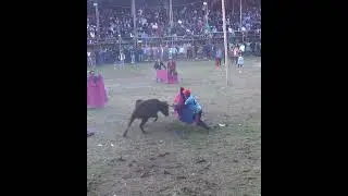 El Torero 23