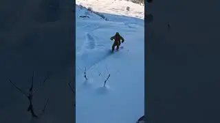 Freeride