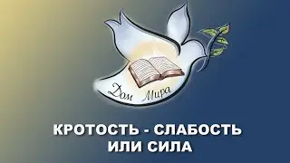 Кротость- слабость или сила? Вадим Качур