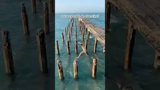 Alguém mais? Kkkkkk