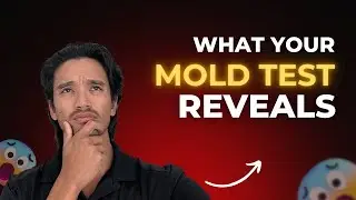 The Different Types of Mold In Your Home: What They Mean