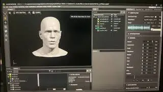 Learned Nvidia Omniverse Audio2Face from UE5