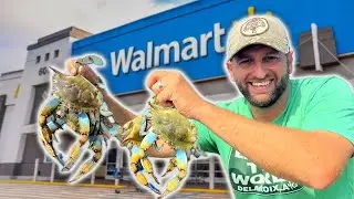 How To Catch Crabs Using WAL MART Supplies