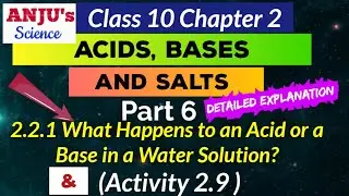 Part 6 What happens to an Acid or a Base in a Water Solution || Acids Bases and Salts Class 10