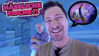 Ich kaufe die 6 HÄSSLICHSTEN FISCHE!