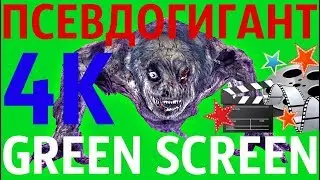 ФУТАЖ - 