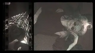 z++ - crno + zlatno