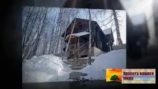 Алтай зимой  Привлекательный зимний алтай