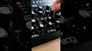 moog subharmonicon acid techno