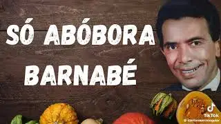 Vamos Recordar - A Turma da Maré Mansa - Barnabé - Só Abóbora.
