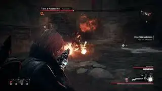 Remnant From The Ashes - Tian, the Assassin