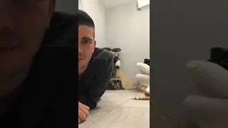 ох уж этот кот)) 