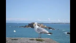 SEJOUR EN BRETAGNE :  SAINT- MALO, VANNES, RENNES, DINARD...