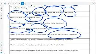 Study guide #2 review