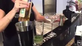 MONIN Gin Gimlet