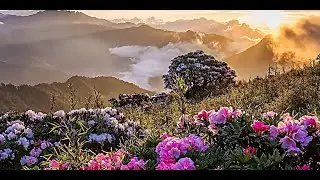 Музыка Для Души ЧЁРНЫМ ПО БЕЛОМУ Музыка  Сергей Грищук #МУЗЫКА #КРАСИВАЯМУЗЫКА