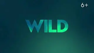 Nat Geo Wild HD Europe - Continuity - Spring 2020 [King Of TV Sat]