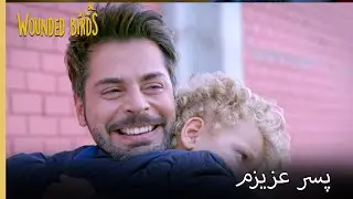 پایان شر | نمیره قسمت 201 | پرندگان زخمی