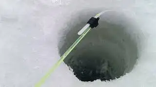 Зимняя рыбалка 9 марта на пруду на поплавки и мормышки. В глухозимье и мега закорм не поможет!